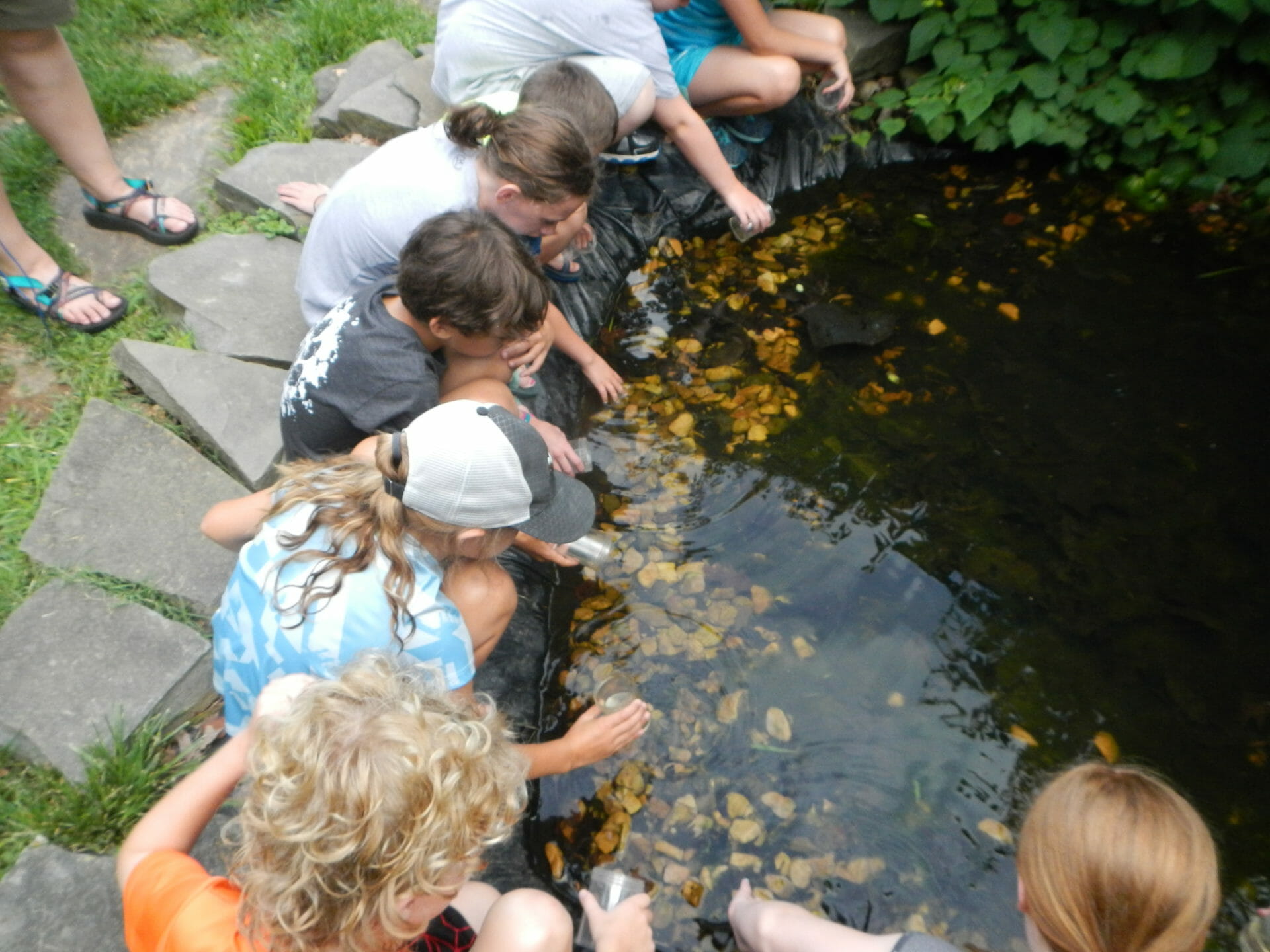 Mill Mountain Discovery Center Nature Program