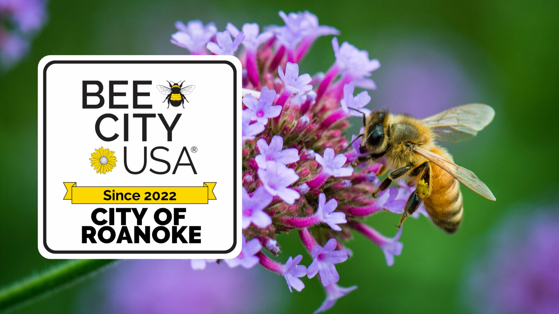 Roanoke Becomes A Bee City Usa® Affiliate City Roanoke Parks And Recreation 3180