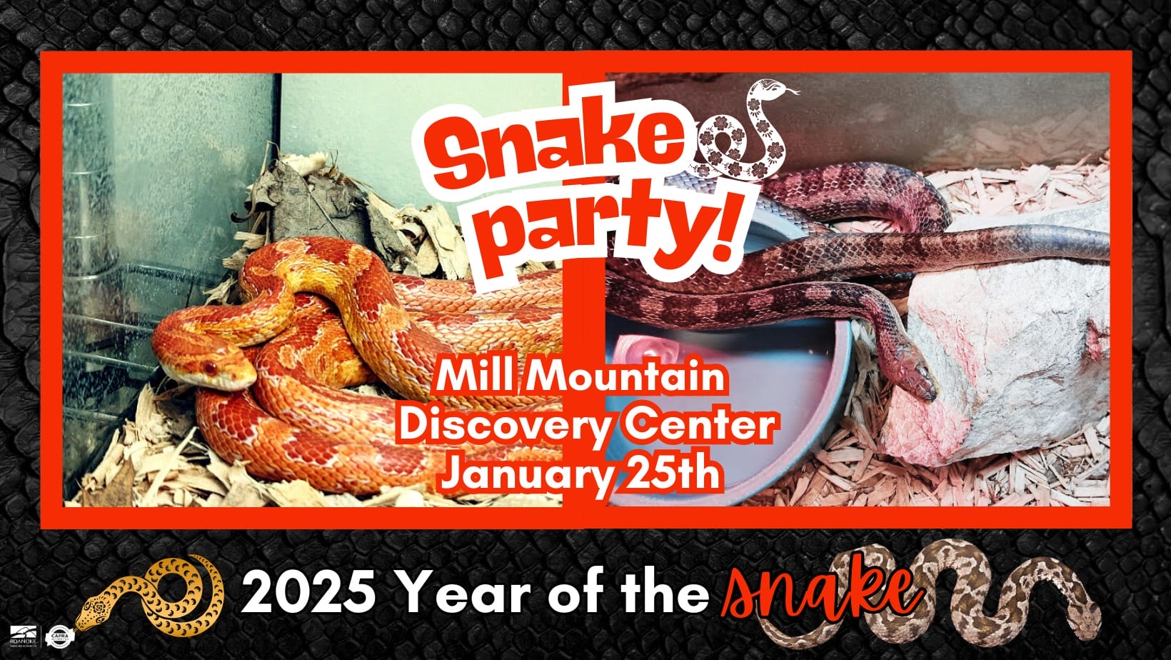 snake party